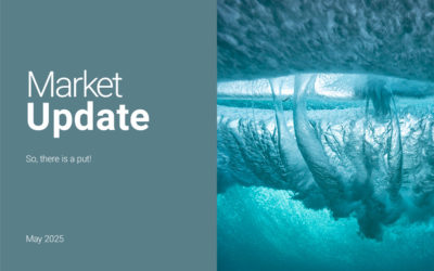 Market Update – May 2025