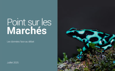 Point sur les Marchés – Juillet 2025
