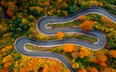 Virtual meetings or in-person encounters: toward a return to genuine connections?