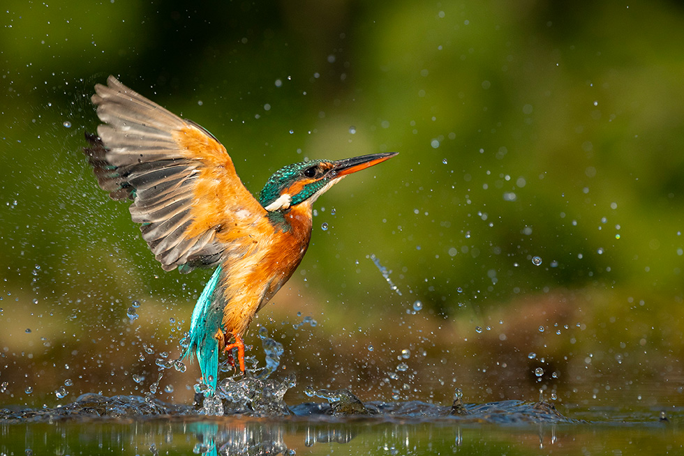 Inheritance: Beginning of Reflection