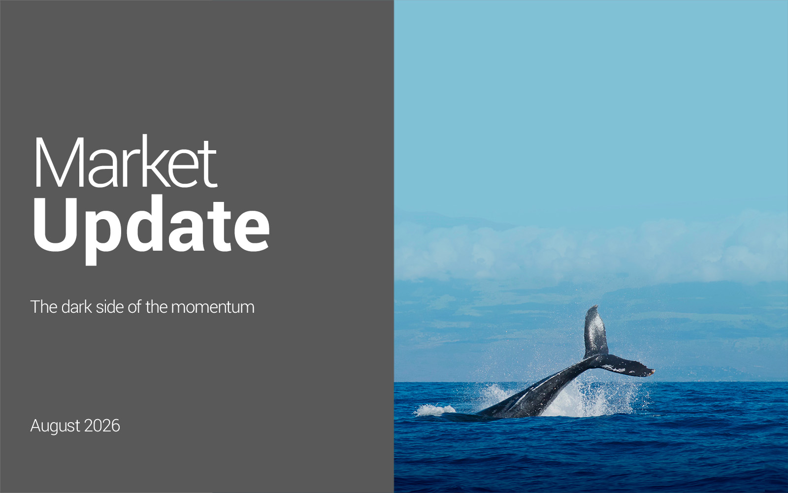Market_Update_AOUT_ANG_1600_1000