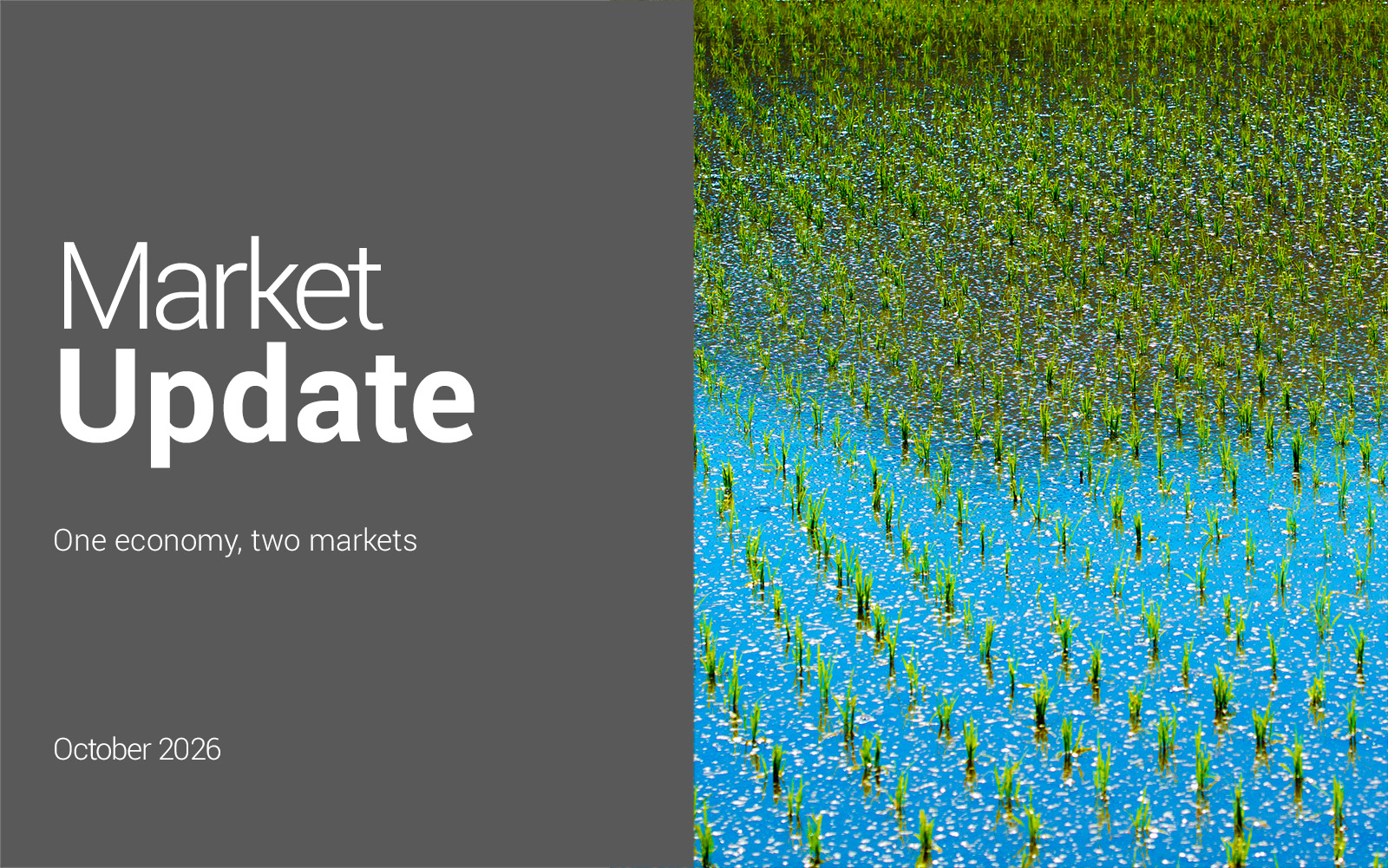 Market_Update_OCTOBRE_ANG_1600_1000